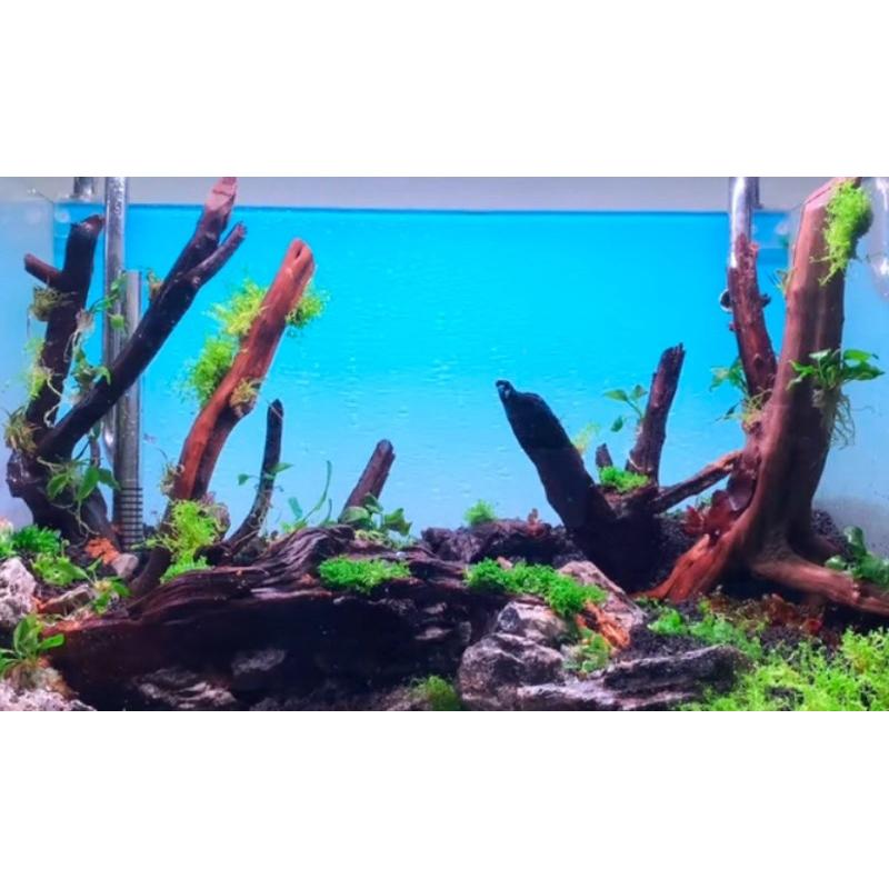 【臥水族】魚缸水草缸背景紙 水族造景裝飾藍白漸變青白漸變背景紙-細節圖3