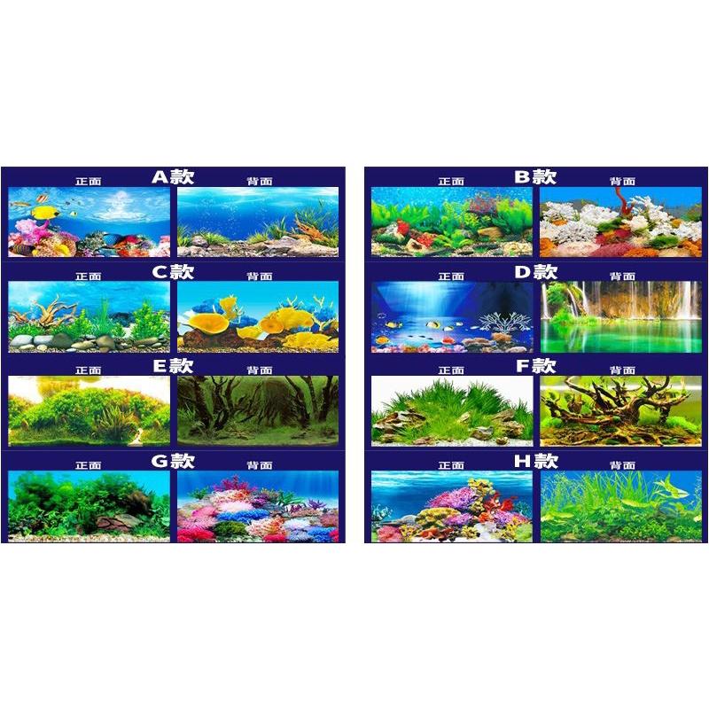 【臥水族】魚缸背景紙畫高清圖3d立體魚缸壁紙背景畫雙面水族箱裝飾魚缸貼紙-細節圖2