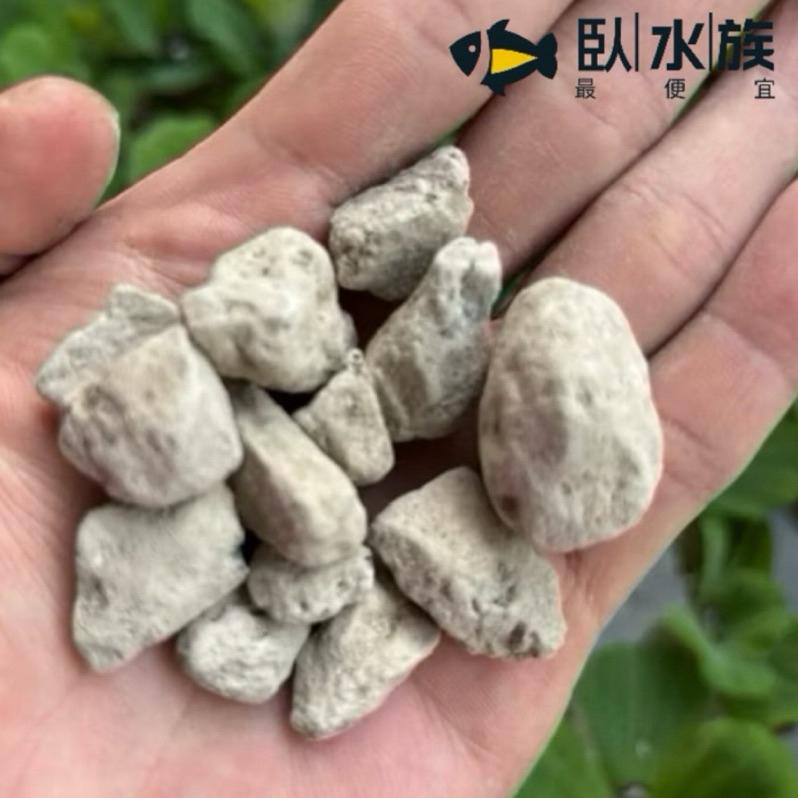 【臥水族】環保輕石 浮石500克 過濾濾材  圓桶 上部過濾 底部過濾 水族濾材 魚菜共生 盆栽 濾材 淨水 養魚 多肉-細節圖2