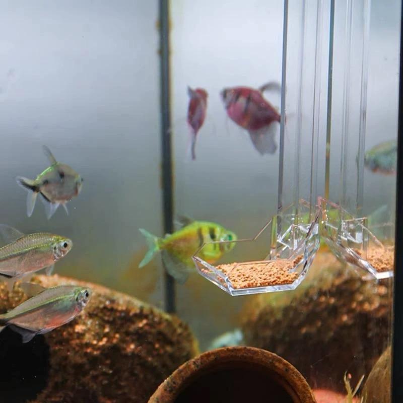 【臥水族】沃韋朗迷你喂食器魚缸亞克力投食器魚蝦魚食喂食管防飄散不卡魚-細節圖6