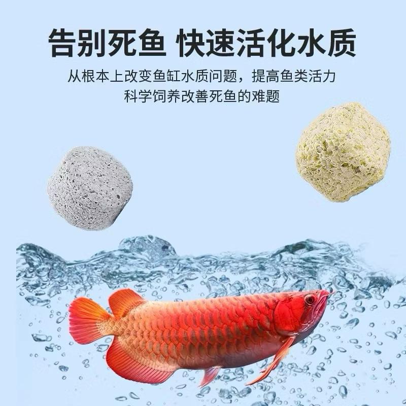 【臥水族】6D濾材500g （送網袋）培菌 凈水 細菌屋 陶瓷環 培菌磚 奈米小方塊 培菌球 微晶濾材 方磚-細節圖3