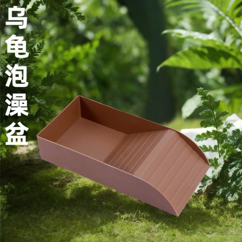 【臥水族】【隔日到貨】烏龜 泡澡盆 爬蟲爬寵泡水專用 兩棲爬蟲水盆 水盆 可當曬背台 爬蟲 陸龜、澤龜、兩棲爬蟲-細節圖2