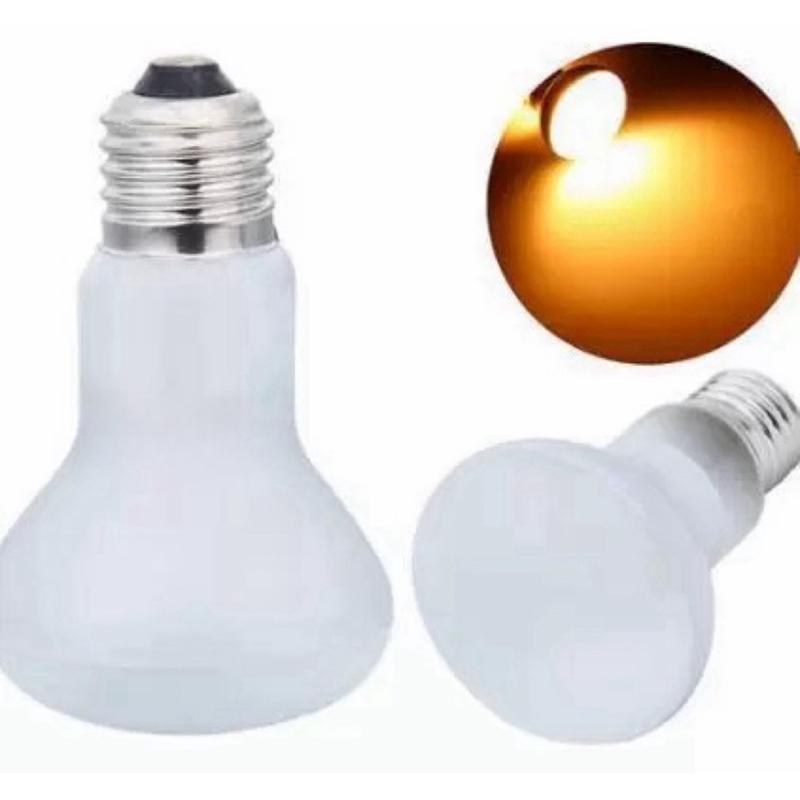 【臥水族】E27 110v 台灣兩棲動物蛇爬行動物燈泡光燈熱量 夜燈日燈UVA-細節圖2