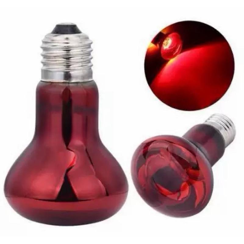 【臥水族】E27 110v 台灣兩棲動物蛇爬行動物燈泡光燈熱量 夜燈日燈UVA-細節圖3