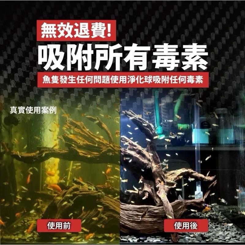 【臥水族】【八百萬神蛋白綿】淨化球、淨水寶、蛋白綿、改變水黃、水濁、水質淨化-細節圖3