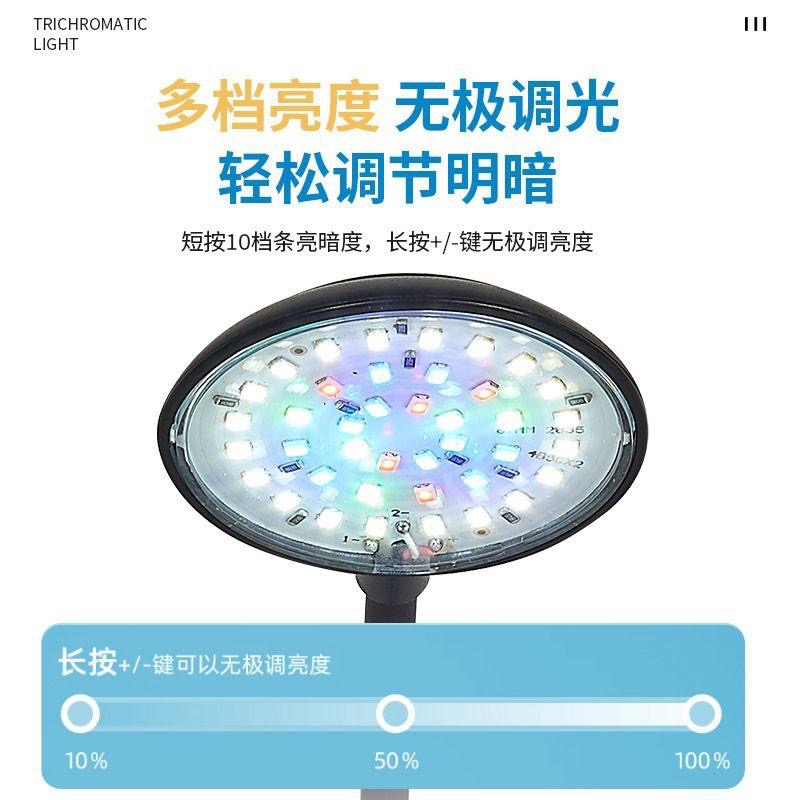 【臥水族】USB魚缸小夾燈可變色可調光（R33724豆腐頭）造景增色增艷-細節圖2