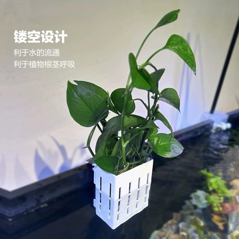 【臥水族】鱼缸水培植物籃家用水草種植杯壁掛式挺水植物籃鱼缸造景裝飾-細節圖4