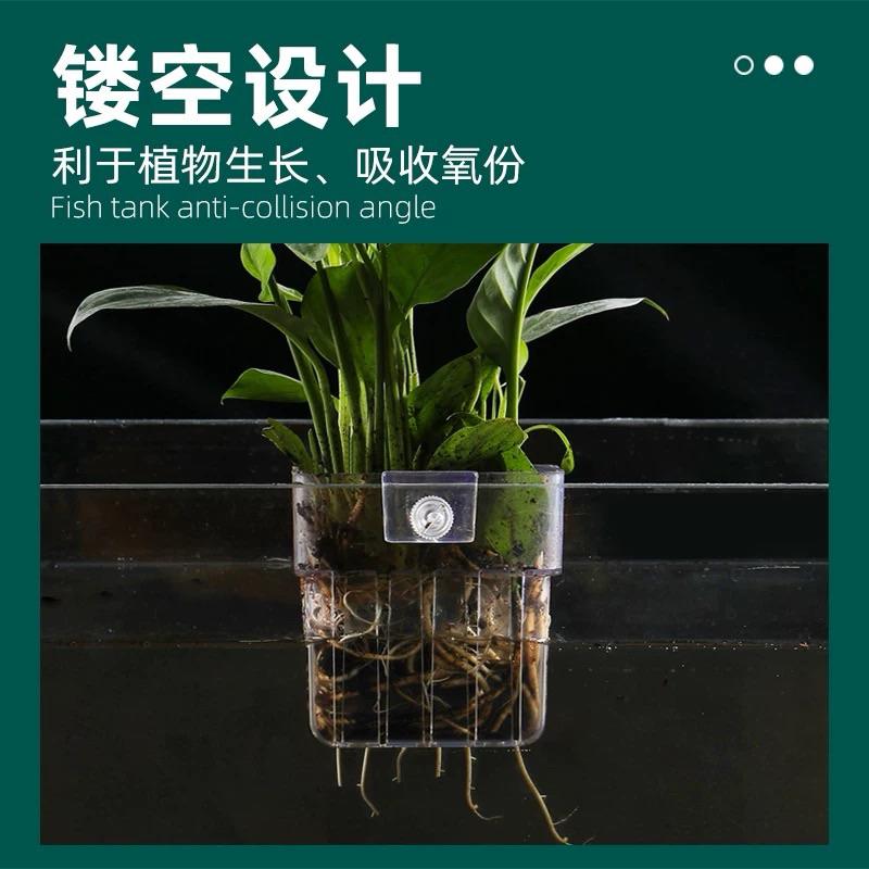 【臥水族】鱼缸水培植物籃家用水草種植杯壁掛式挺水植物籃鱼缸造景裝飾-細節圖6