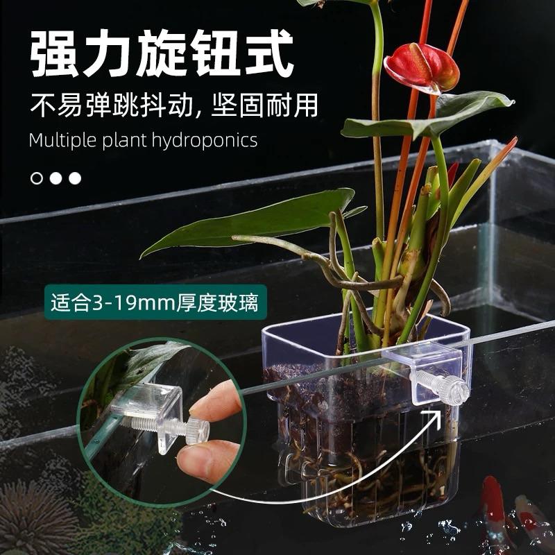 【臥水族】鱼缸水培植物籃家用水草種植杯壁掛式挺水植物籃鱼缸造景裝飾-細節圖7