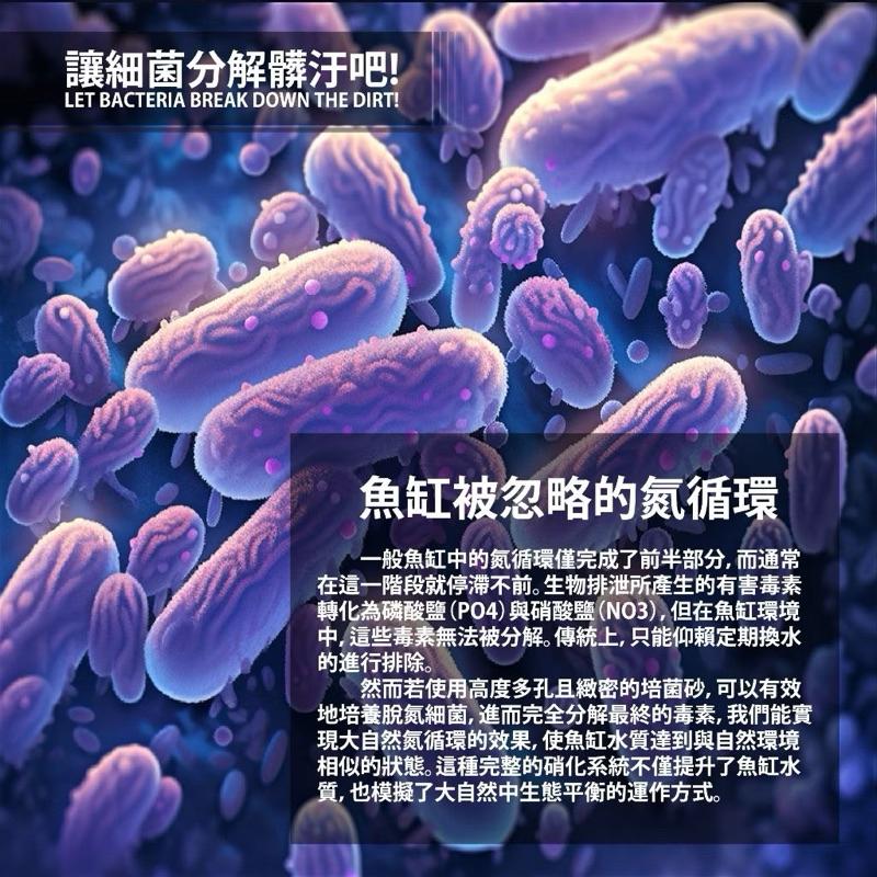 【臥水族】八百萬神 培菌砂 免換水底砂 孔雀魚底砂 不會髒的底砂 魚缸底砂 超白底砂 淡海水皆適用 魚缸造景裝飾～-細節圖6