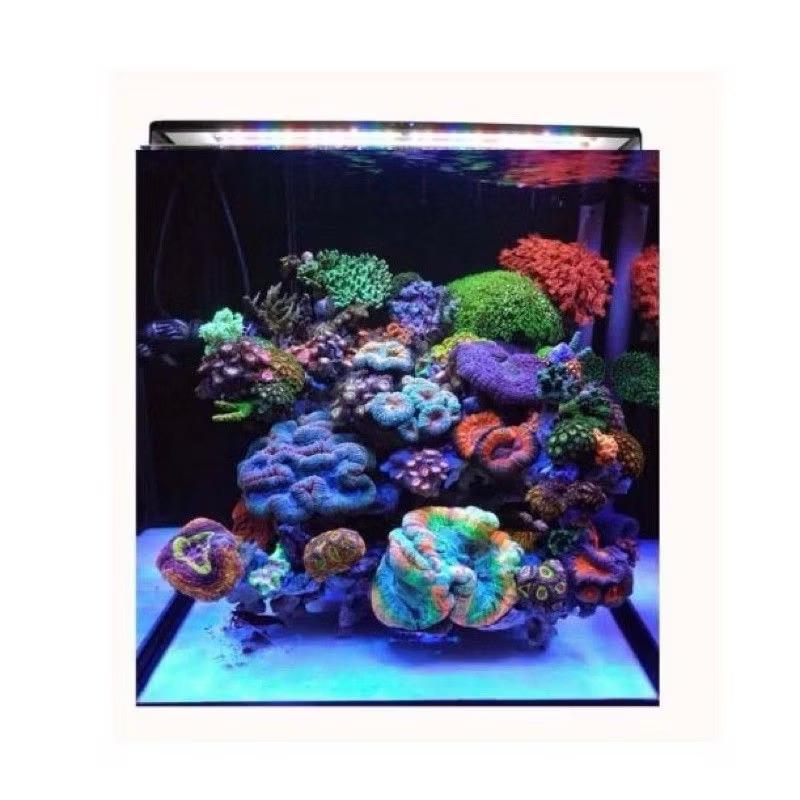 【臥水族】-台灣弘茂HME魔塊Wing2  海水跨燈  增艷燈 1尺 2尺 3尺 4尺 附腳架 可app控制日出日落-細節圖2