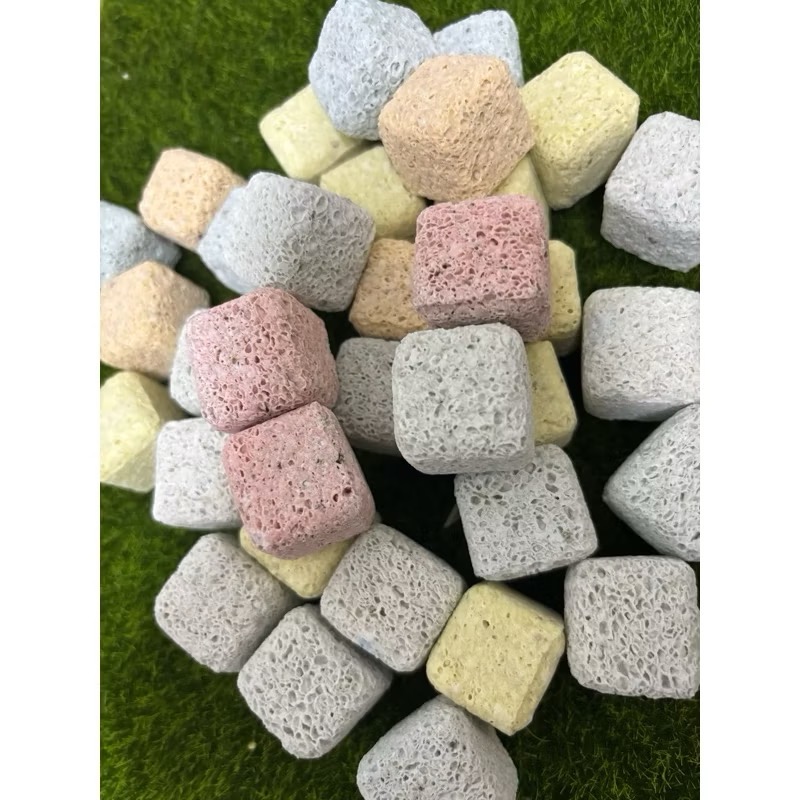 6D益菌屋2.5x2.5x2.5CM