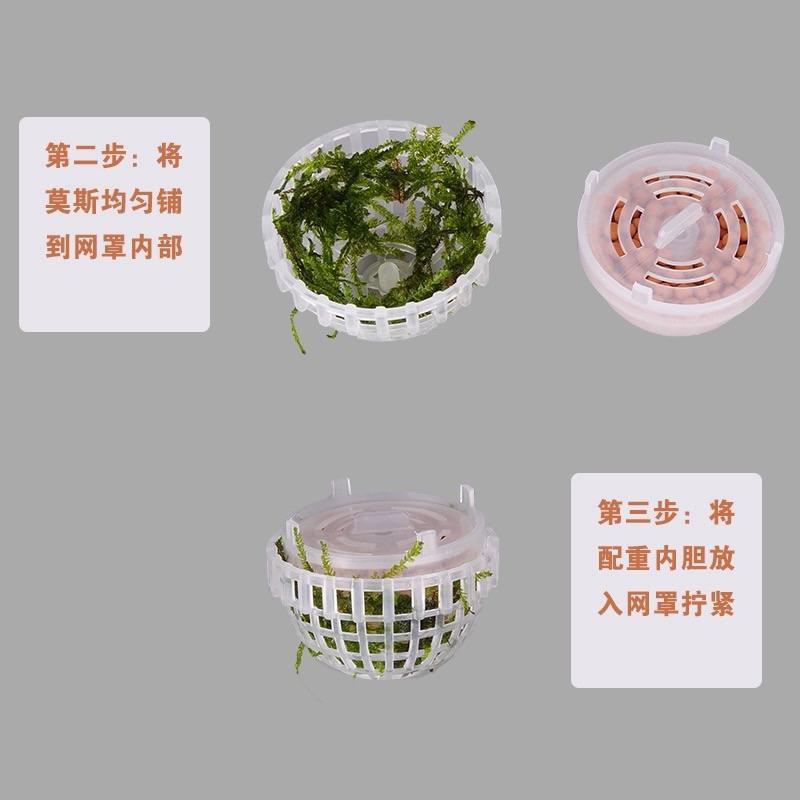【臥水族】莫斯球 沉水球 療癒球 植物造景 默絲球 水草球 魚缸造景球 觀賞球 水草種植球 水草綑綁-細節圖2