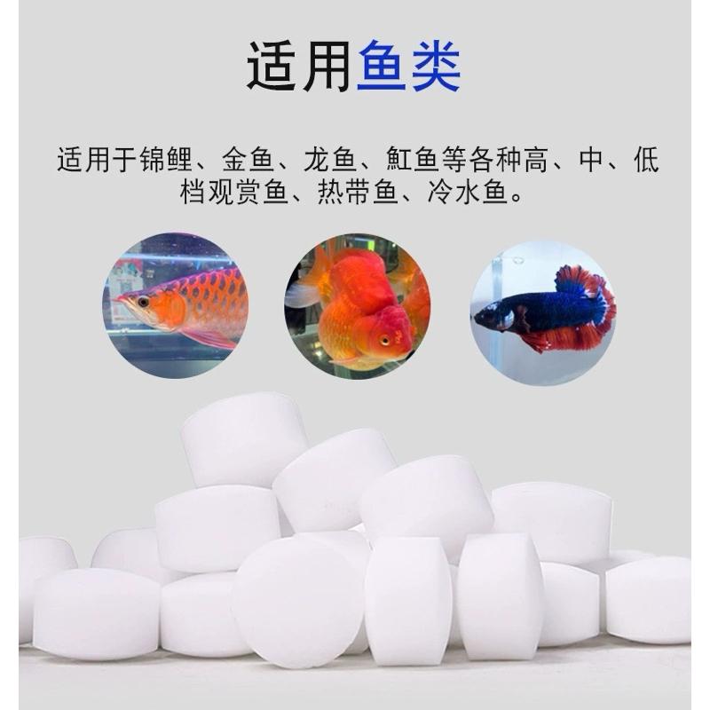 【臥水族】【大顆】 蝦皮最便宜天然礦物質鹽球 水族用海鹽 半孔雀魚  預防夾尾 粗鹽 消毒殺菌 礦物鹽 鬥魚-細節圖4