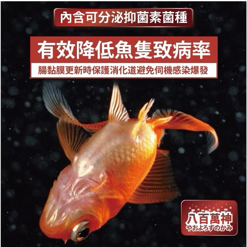 【臥水族】【淡水/海水專用】【八百萬神高階複合菌】【全球專利菌】【27種全相菌種】【八百萬神】【硝化菌】【光合菌】-細節圖5