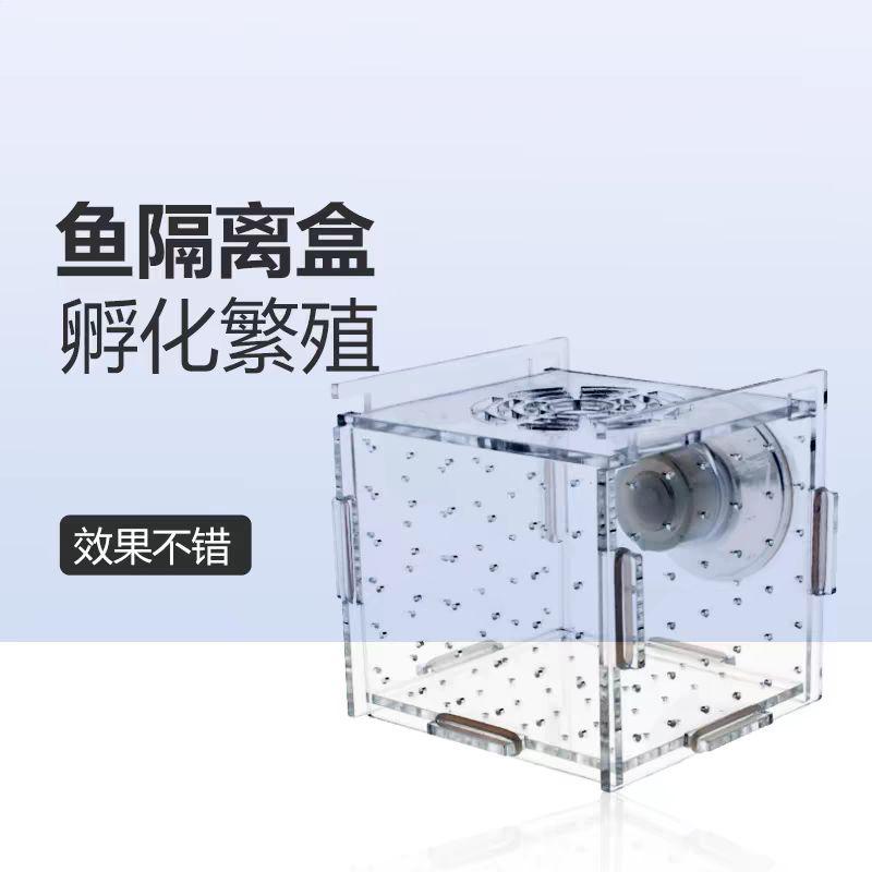 【臥水族】壓克力超透隔離盒魚缸透明水族小魚苗孵化器繁殖箱產盒單雙多格隔離網-細節圖2