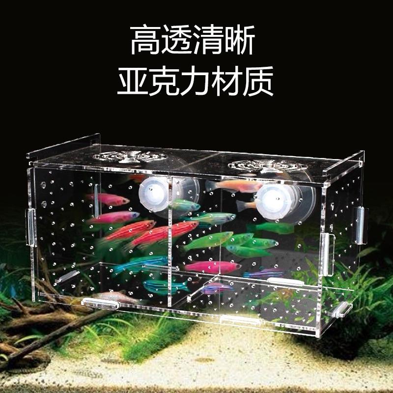 【臥水族】壓克力超透隔離盒魚缸透明水族小魚苗孵化器繁殖箱產盒單雙多格隔離網-細節圖3