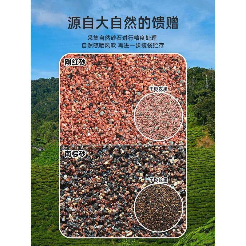 【臥水族】慈鯛 鼠魚 金魚 南美 底砂魚缸免洗沙子雨林 化妝砂 魚造景天然 造景砂-細節圖4