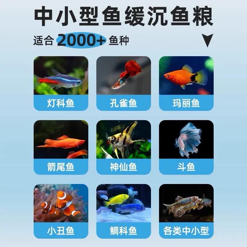 【臥水族】沃韋朗高蛋白小型觀賞魚專用飼料豐年蝦孔雀魚苗小顆粒通用魚食料-細節圖2