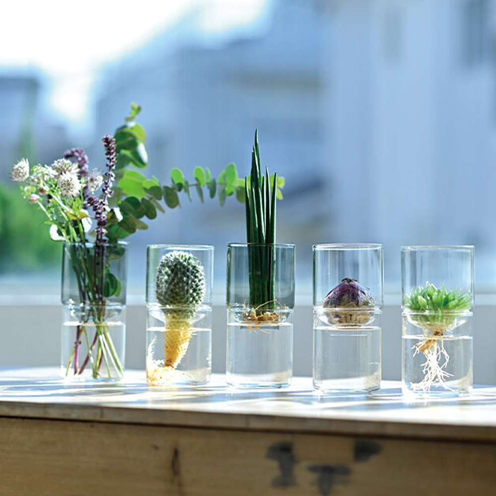 outdoor家事專科 日本製 HARIO 日日好離 水植玻璃花瓶 玻璃花器 琥珀色/透明/灰色 水耕植物 水培植物-細節圖9