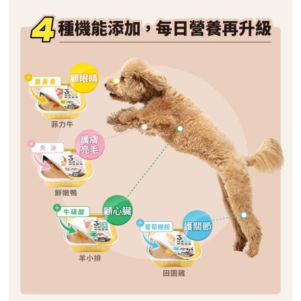 《愛吃鬼阿麥》HeroMama 3in經典鮮食餐盒 狗狗餐盒 狗狗鮮食-細節圖4