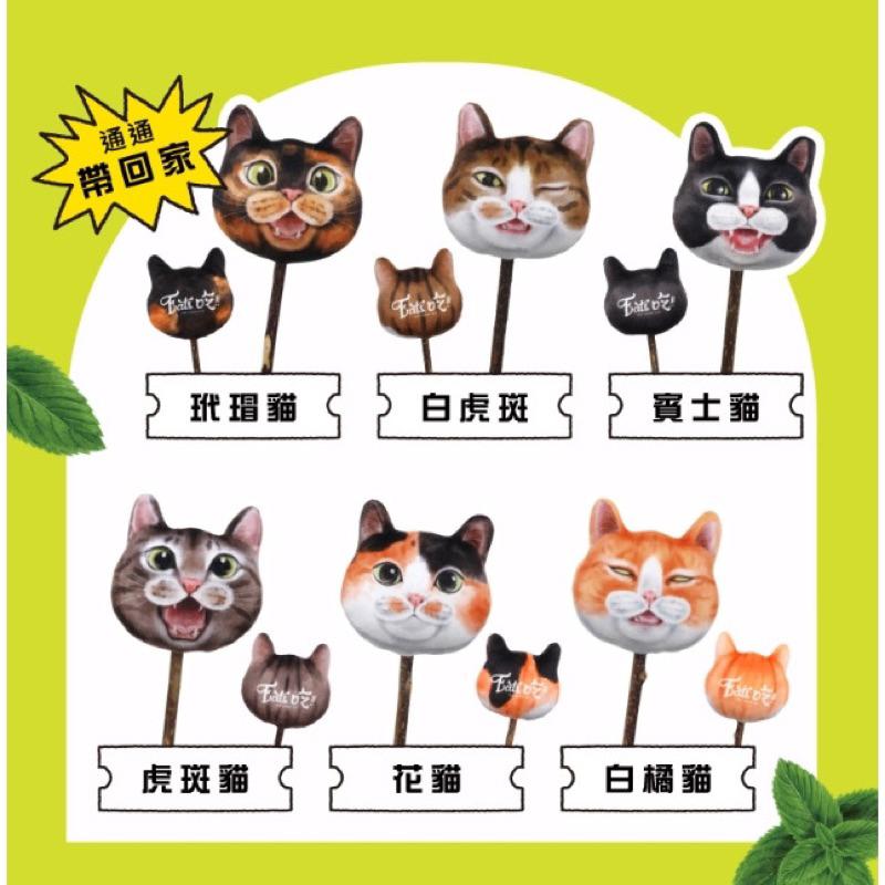 《愛吃鬼阿麥》Eat＇s 易特廚 喵起來吸貓草木天蓼棒 貓咪玩具 木天蓼 貓薄荷-細節圖5