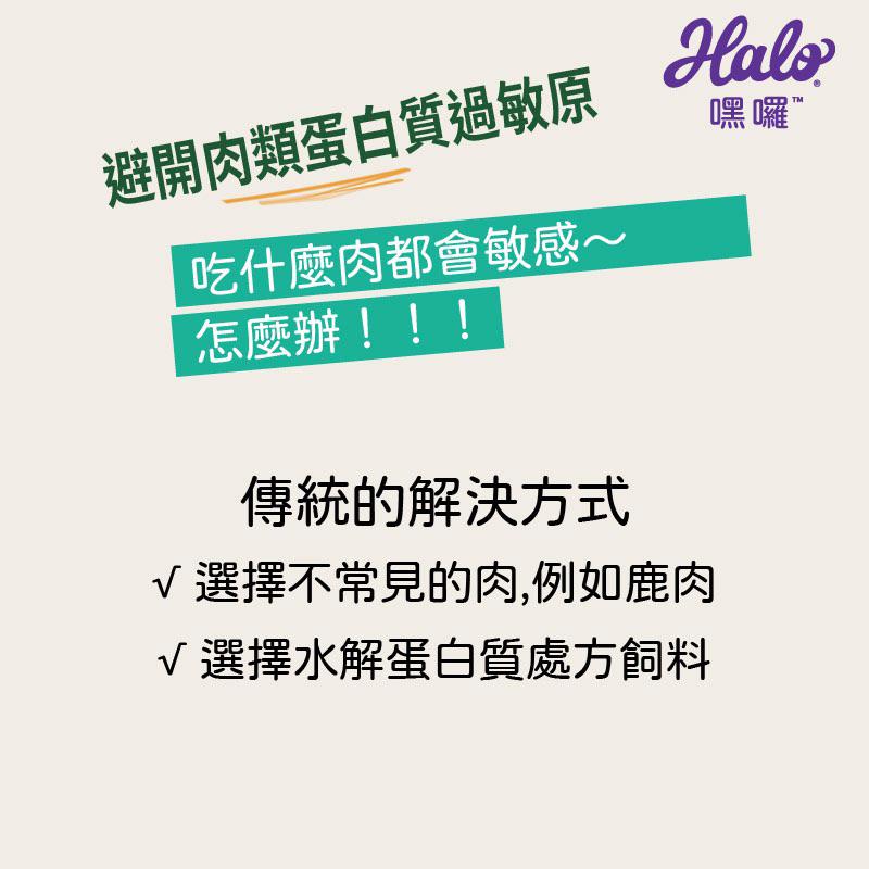 《買就送罐頭！！愛吃鬼阿麥》Halo 嘿嘍 無穀 貓飼料3磅/6磅/10磅 成貓/幼貓 鮭魚/雞肉-細節圖7