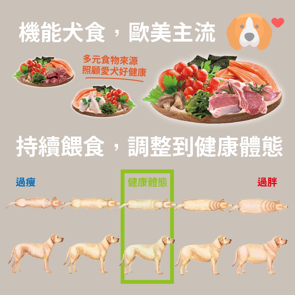 Dote多特 健康機能犬食 雞肉 鹿肉 羊肉 狗食乾狗糧飼料-細節圖4