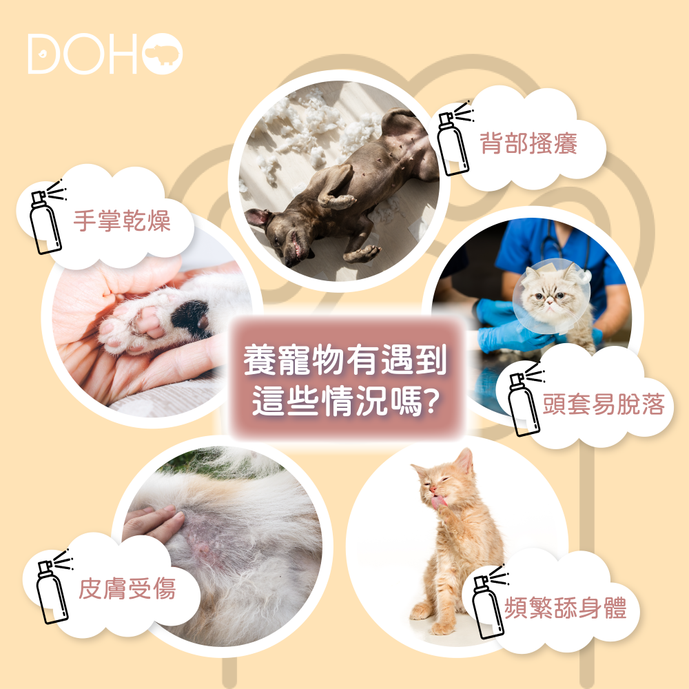 DOHO 寵物皮膚噴 寵物液態OK繃 解決寵物毛小孩舔咬 淺層傷口問題-細節圖2