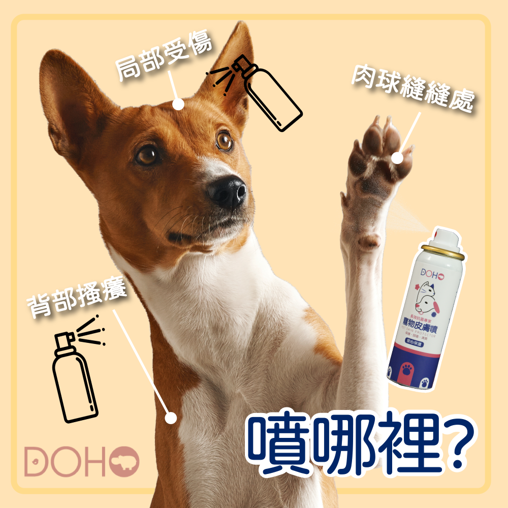 DOHO 寵物皮膚噴 寵物液態OK繃 解決寵物毛小孩舔咬 淺層傷口問題-細節圖3