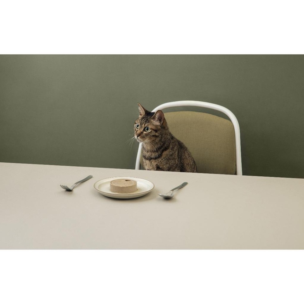 【喵皇奴】虻貓機能主食罐 80g｜旗魚+黑水虻口味｜MIT無榖高含肉量｜優質蟲蛋白｜機能配方｜泥狀慕絲狀｜全齡貓-細節圖8