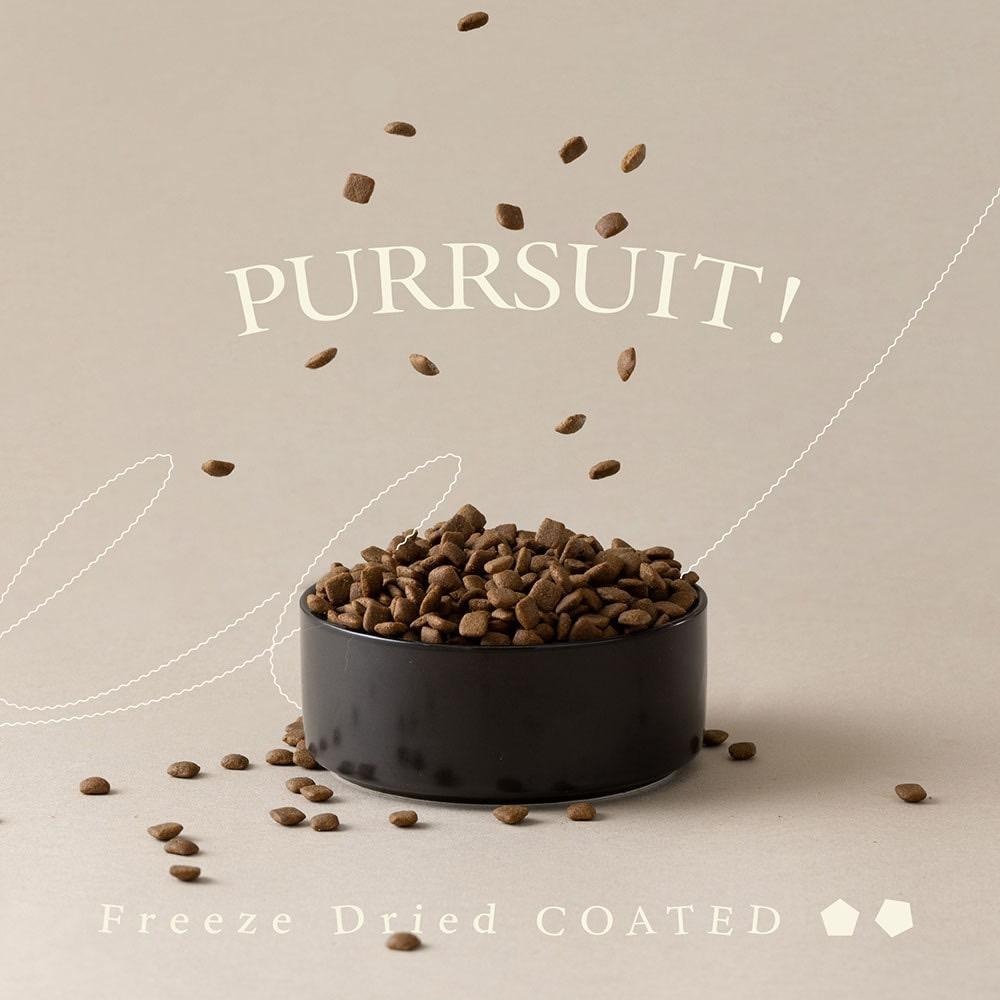 【喵皇奴】貓咪日常腸胃保健｜PURRSUIT ! 貓咪凍乾飼料－鮮嫩雞肉╱腸胃保健＋PLUS ! 腸胃專科 獸醫推薦-細節圖9
