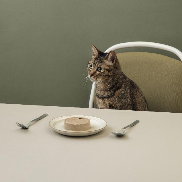 【喵皇奴】虻貓機能主食罐 80g｜鮪魚+黑水虻口味｜MIT無榖高含肉量｜優質蟲蛋白｜機能配方｜泥狀慕絲狀｜全齡貓-細節圖8