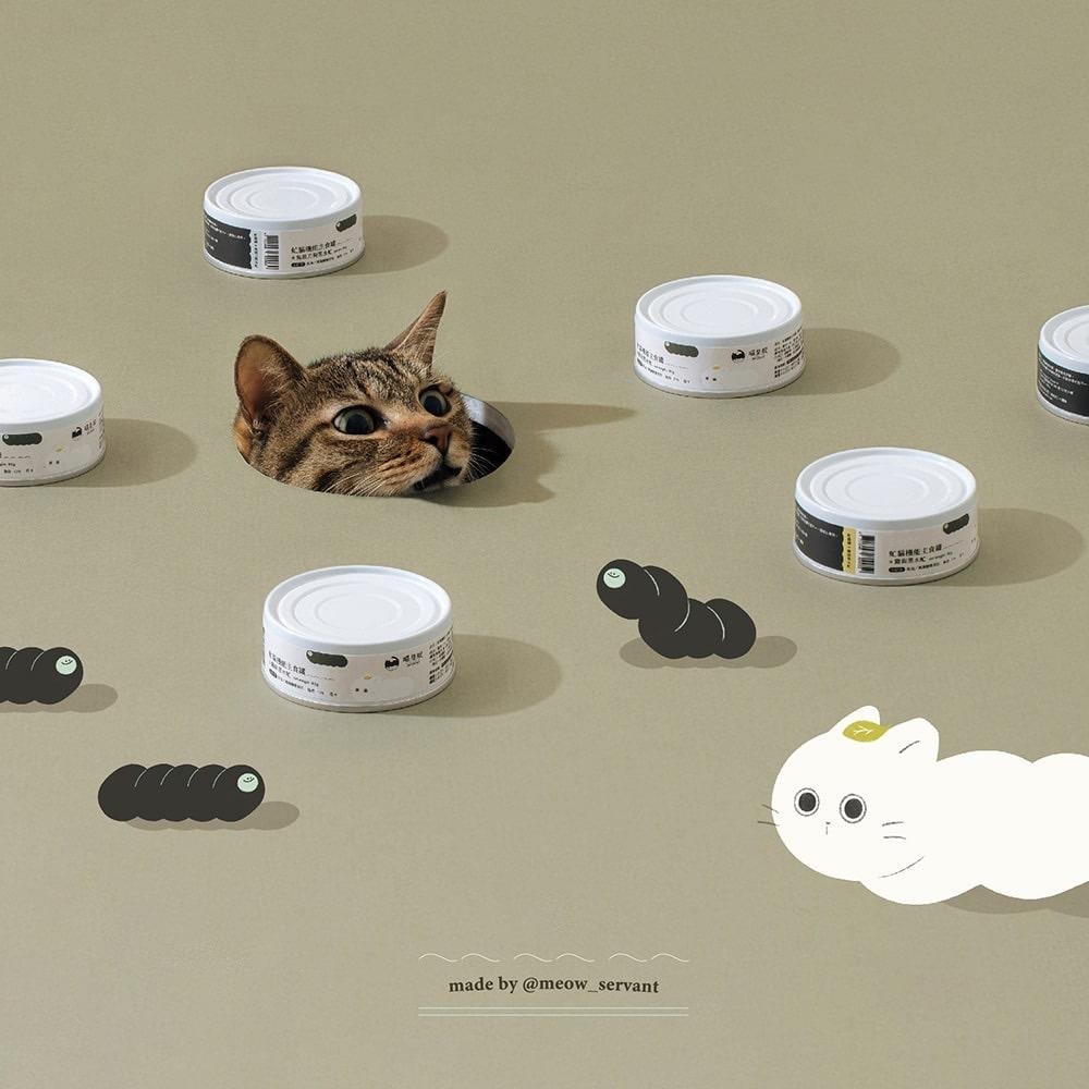 【喵皇奴】虻貓機能主食罐 80g｜雞肉海瓜子＋黑水虻口味｜MIT無榖高含肉量｜優質蟲蛋白｜機能配方｜泥狀慕絲狀｜全齡貓-細節圖2