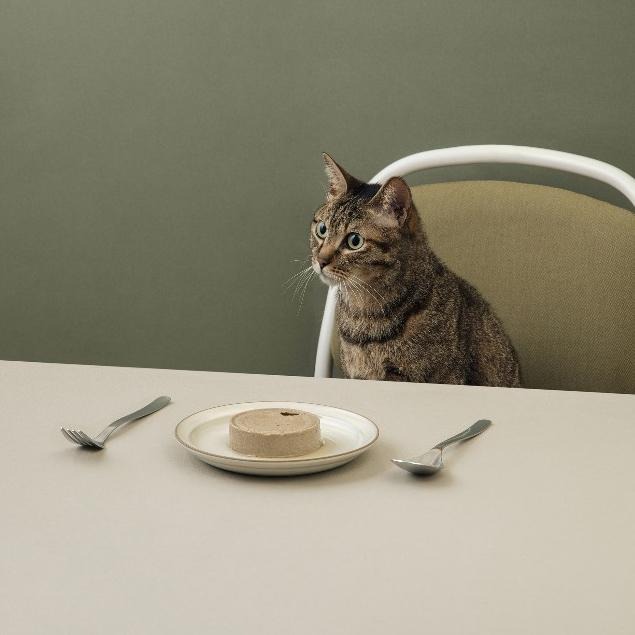 【喵皇奴】虻貓機能主食罐 80g｜雞肉海瓜子＋黑水虻口味｜MIT無榖高含肉量｜優質蟲蛋白｜機能配方｜泥狀慕絲狀｜全齡貓-細節圖8