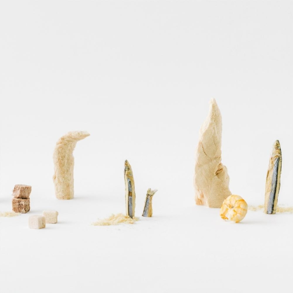 【喵皇奴】 GOOD！毛孩凍乾小零嘴｜冷凍乾燥原型零食｜10種口味｜促進食慾｜訓練神器｜藏食玩具｜多項病原性微生物檢驗-細節圖2