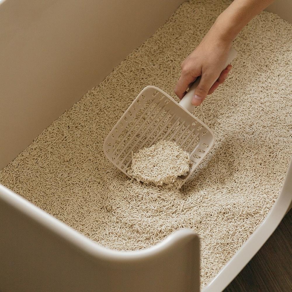 【限時購】【喵皇奴】SUPURE！極淨貓砂｜1.5mm極細豆腐砂｜2.0mm細條豆腐砂｜無香精｜低粉塵換砂不揚塵-細節圖4