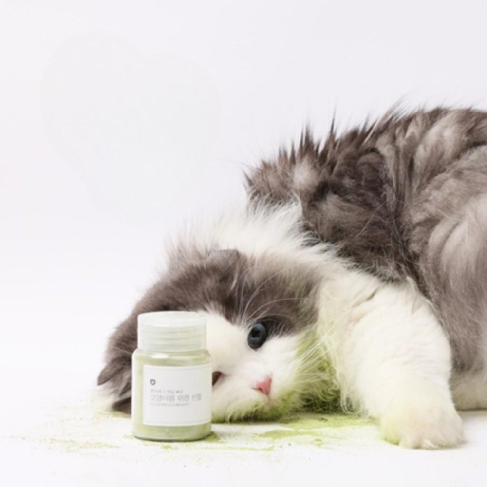 【CATSTAG】貓薄荷系列｜喵皇奴獨家代理｜韓國生產製造｜無農藥種植｜香氣濃郁｜100%乾燥-細節圖2