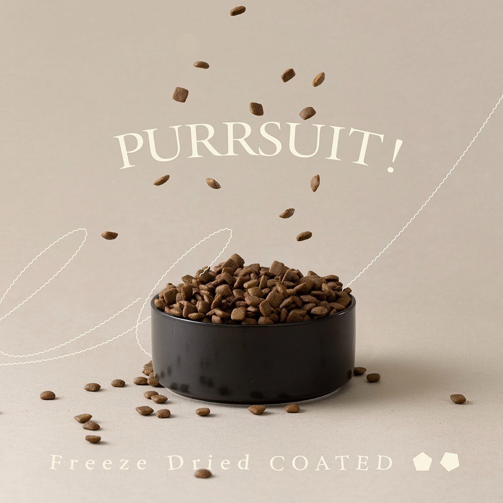 【限時購】喵皇奴｜PURRSUIT 貓咪凍乾飼料300g｜機能保健｜50道SGS檢驗｜8mm好入口-細節圖4
