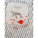 B001-現貨-2mm玻璃方糖珠 水藍、鮮紅，翠綠-規格圖4