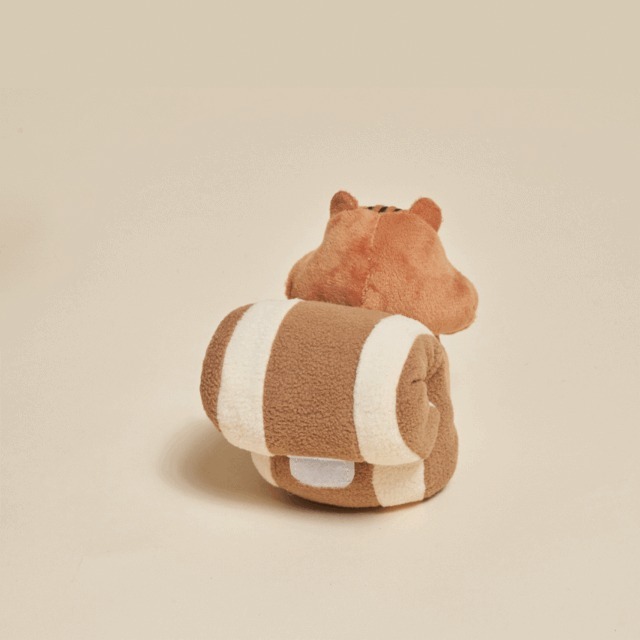 韓國進口 松鼠與小橡果-寵物玩具-細節圖3