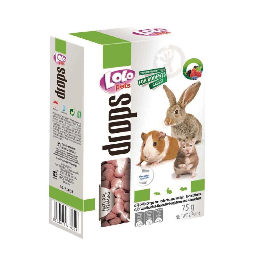 【波蘭LOLO】優格維他命球│ 補充維生素礦物質 亮麗毛髮 充滿活力 天竺鼠優格 鼠鼠維他命 兔子營養補充品-細節圖2