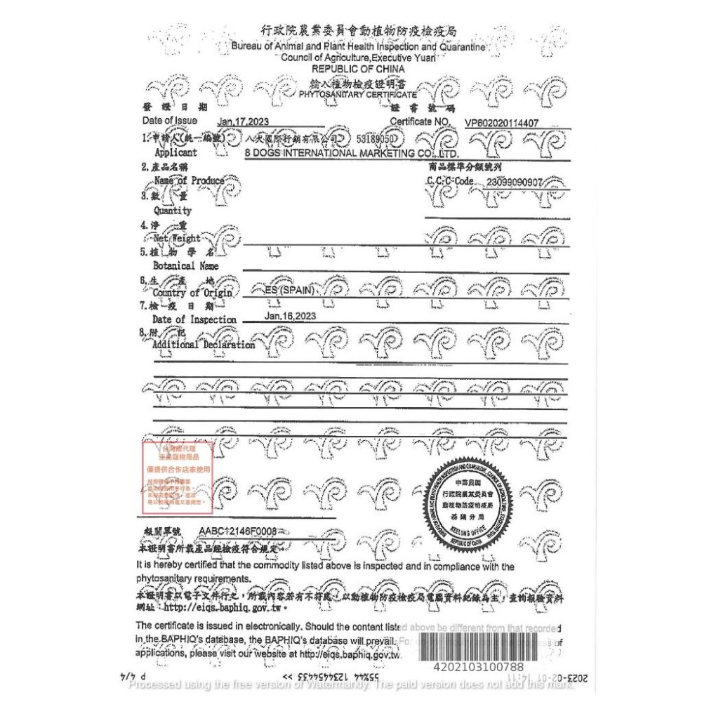 【西班牙CUNIPIC】磨牙點心玩具│榛果木+胡蘿蔔 /+歐芹 / +甜菜根│鼠兔磨牙木 鳥類也可以玩 營養蔬菜木-細節圖4