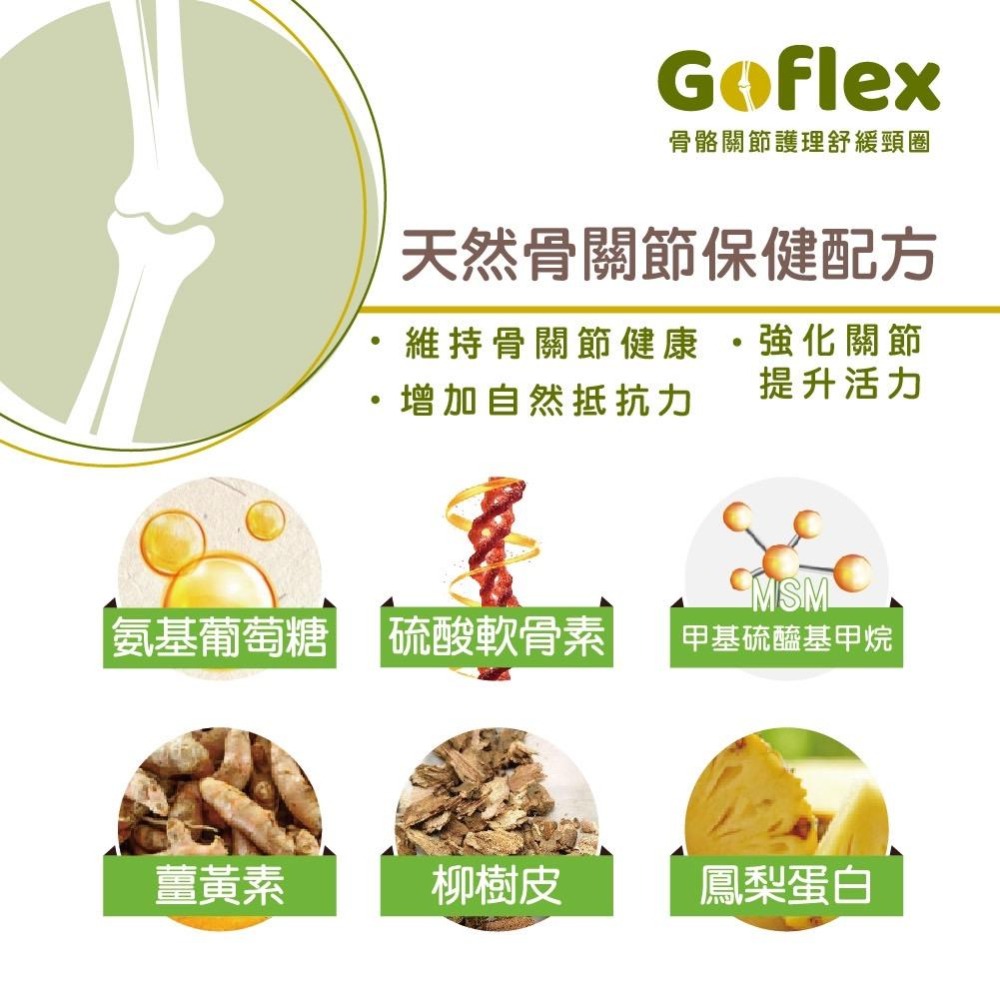 【Solon舒活】以色列GO-FLEX骨骼關節護理舒緩頸圈 犬用頸圈 貓用頸圈-細節圖4