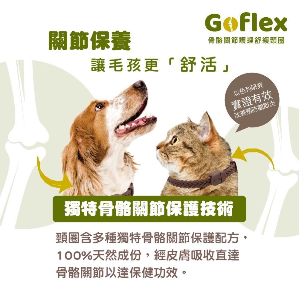 【Solon舒活】以色列GO-FLEX骨骼關節護理舒緩頸圈 犬用頸圈 貓用頸圈-細節圖5