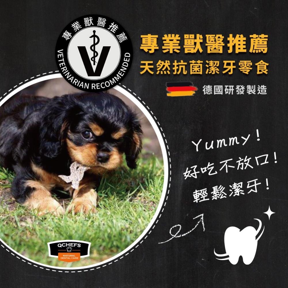 活性碳犬用潔牙粉【Qchefs德國黑科技】犬用天然潔牙零食│獸醫推薦 潔牙棒 潔牙泡芙 狗狗潔牙粉 潔牙酥 狗狗零食-細節圖3