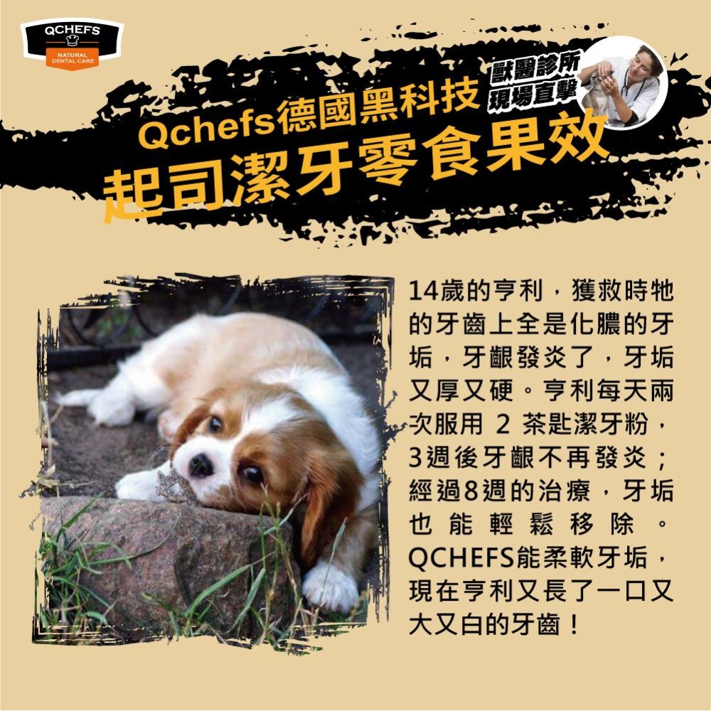 【Qchefs德國黑科技】犬用天然潔牙零食│獸醫推薦 潔牙棒 潔牙泡芙 潔牙片 潔牙粉 潔牙酥 狗狗零食 頂級潔牙骨-細節圖3