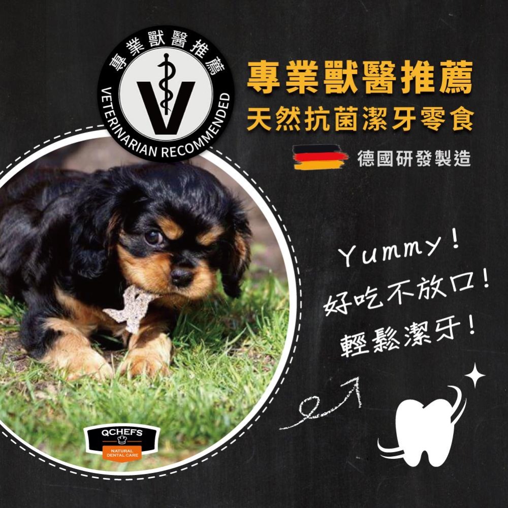 【Qchefs德國黑科技】犬用天然潔牙零食│獸醫推薦 潔牙棒 潔牙泡芙 潔牙片 潔牙粉 潔牙酥 狗狗零食 頂級潔牙骨-細節圖5