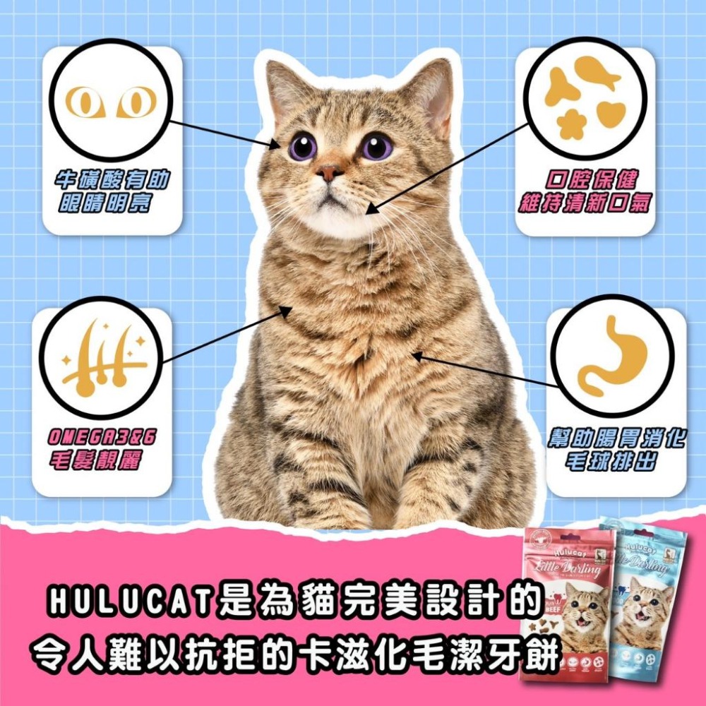 【Hulu Cat】卡滋化毛潔牙餅│卡茲化毛潔牙 貓點心 貓零食 貓餅乾 潔牙餅 60g / 150g-細節圖4