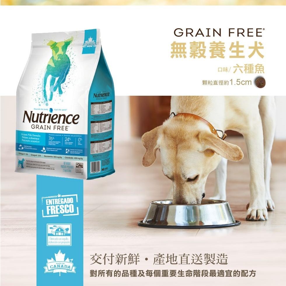 【紐崔斯】無穀犬養生飼料 無穀犬糧 頂級狗飼料 200g / 2.27kg / 5kg 狗飼料 高含肉犬糧 益生菌飼料-細節圖4